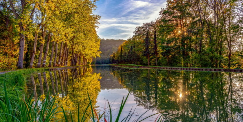 recrutement pour les réserves naturelles pour préserver la biodiversité